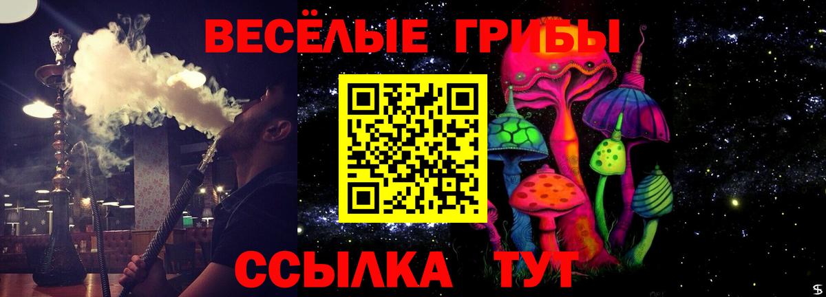 Псилоцибиновые грибы MAGIC MUSHROOMS  Вход с VPN  Щёкино  Псилоцибиновые грибы Magic Shrooms 
